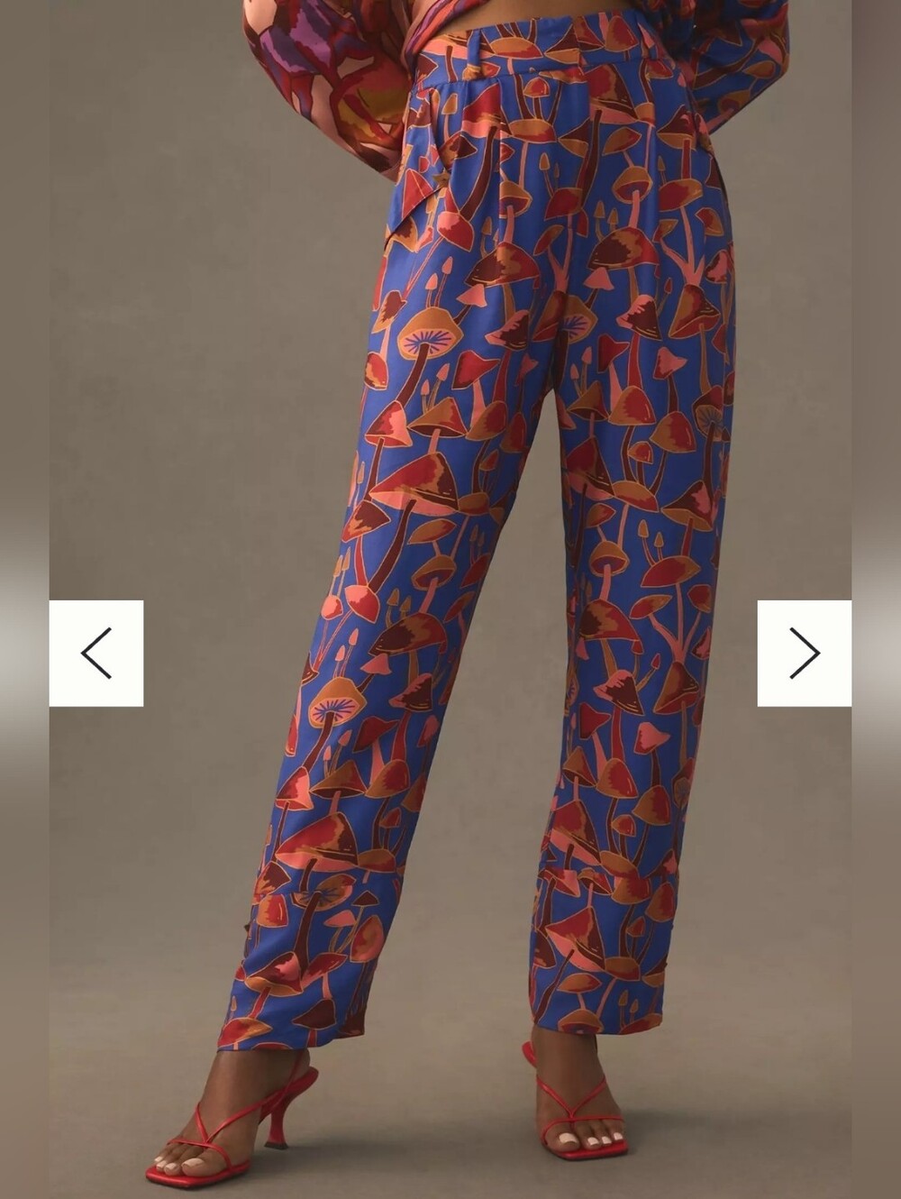 NWT Farm Rio Mushroom Sketch Blue Pants Pleared Trousers Size Medium Anthro